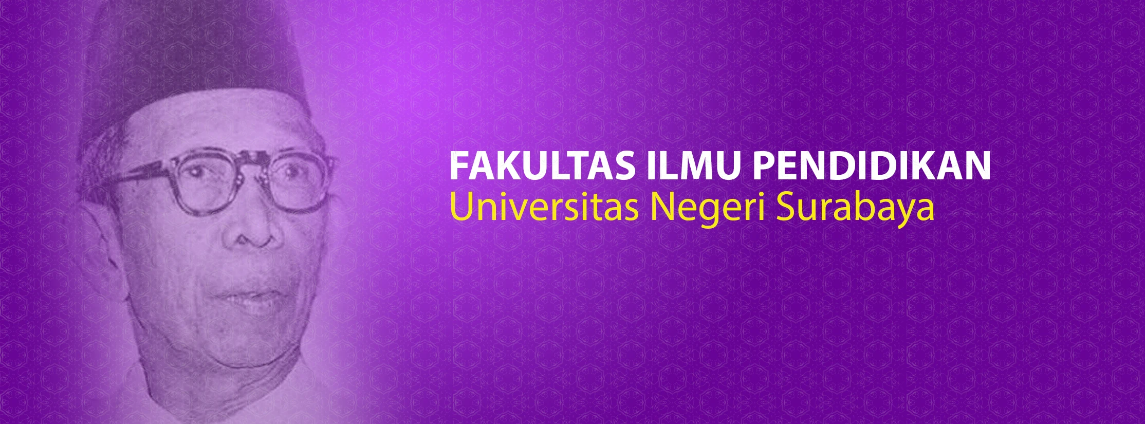 FIP UNESA